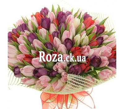 Bouquet of 151 tulips