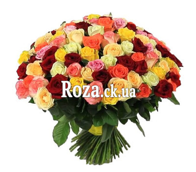 Букет из 155 роз