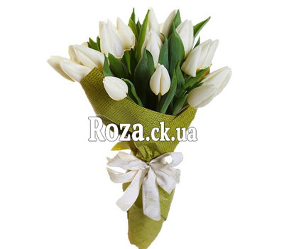 Bouquet of 19 White Tulips
