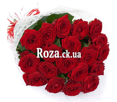 Букет из 19 красных роз