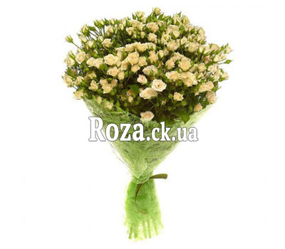 Bouquet of 25 roses