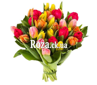 Bouquet of Tulips