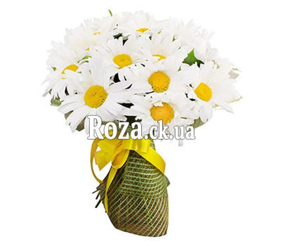 Bouquet of 35 chamomiles