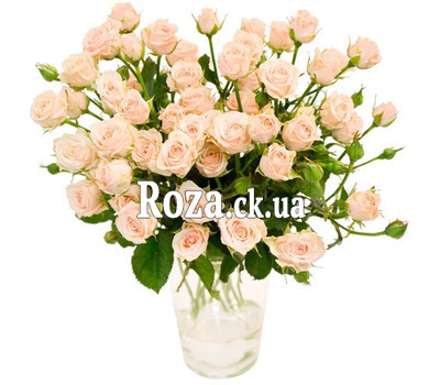 Bouquet of rose spray