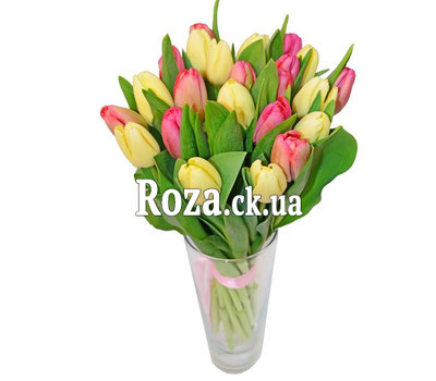 Delicate bouquet of tulips
