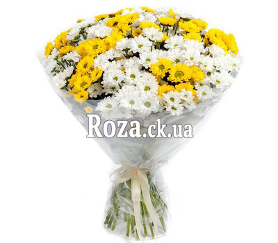 Bouquet of white and yellow chrysanthemums