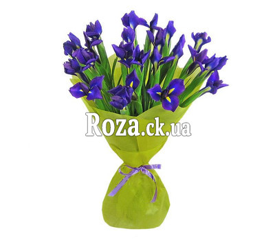 Bouquet of irises