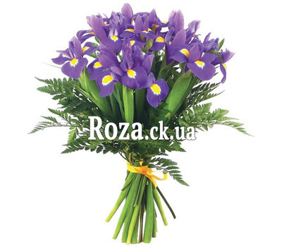 Bouquet of irises