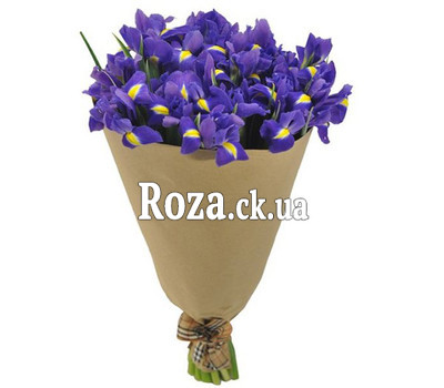 Bouquet of irises