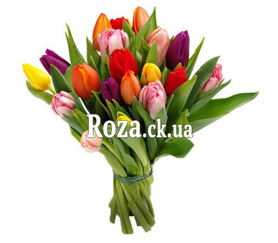Bouquet of Tulips