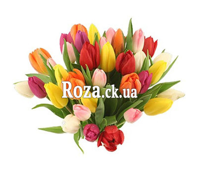 Bouquet of bright tulips