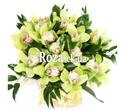 Bouquet of green orchids