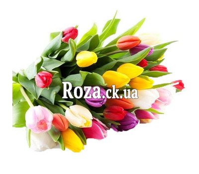 Wonderful bouquet of multi-colored tulips
