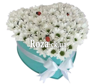Heart-shaped composition from chrysanthemums