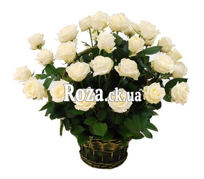 Basket of white roses
