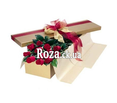 Red roses in a box