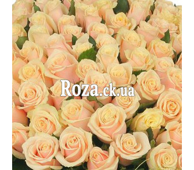 Cream roses (by the piece)