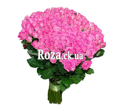 Купить 251 розу Черкассы
