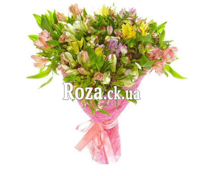 Buy Alstroemerias