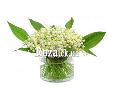 Купить ландыши в Черкассах