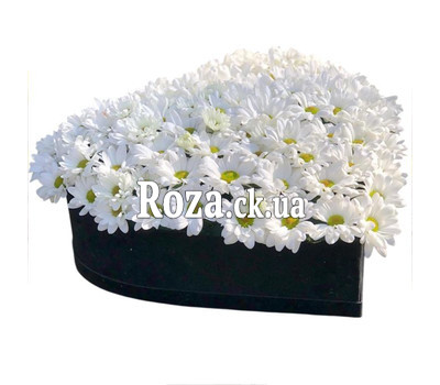 Flower heart with chrysanthemums