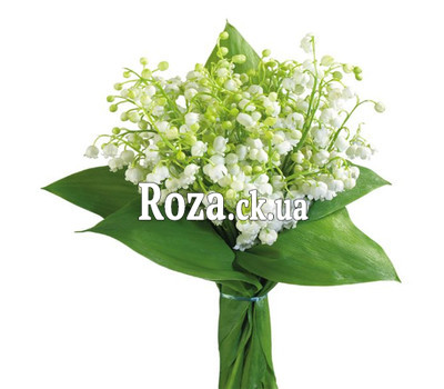 Конвалії