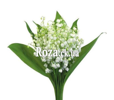 Конвалії в букеті