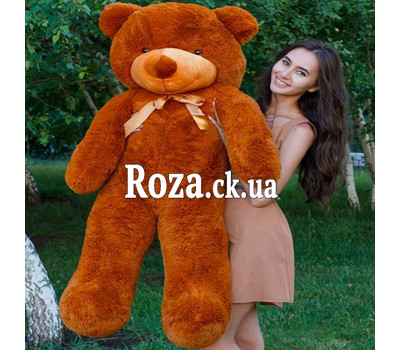 Bear 1,4 m