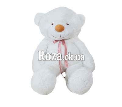 Teddy Bear 80 cm