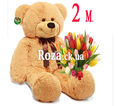 Gift Solution 11