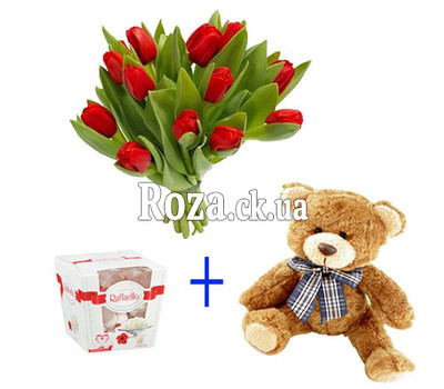 Gift Solution 2