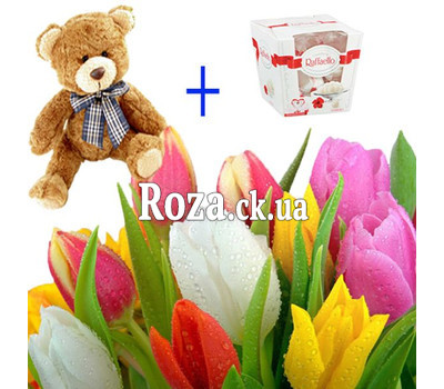 Gift Solution 3