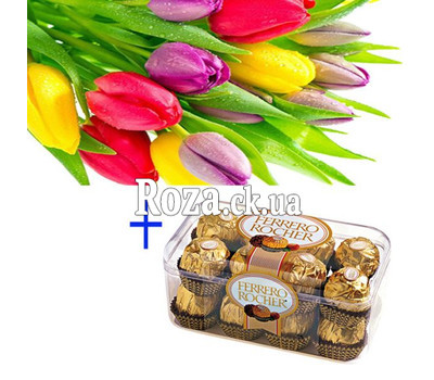 Gift Solution 5