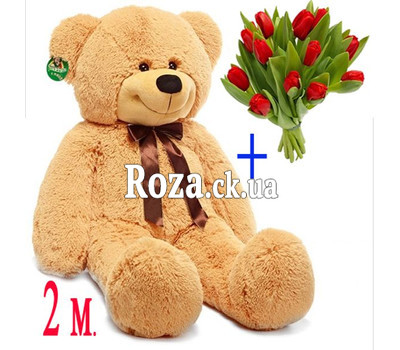Gift Solution 9