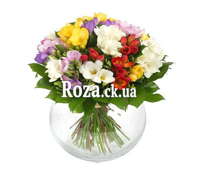 Charming bouquet of freesias