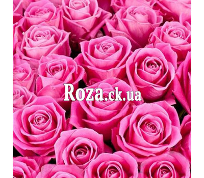 Pink roses (by the piece)