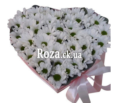Heart of Chrysanthemums