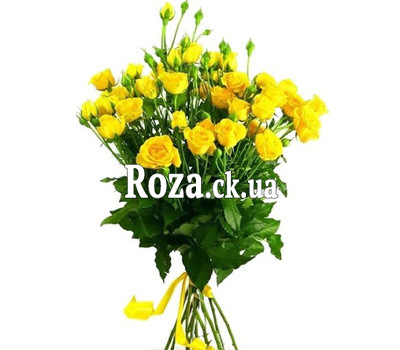 Bouquet of bush roses