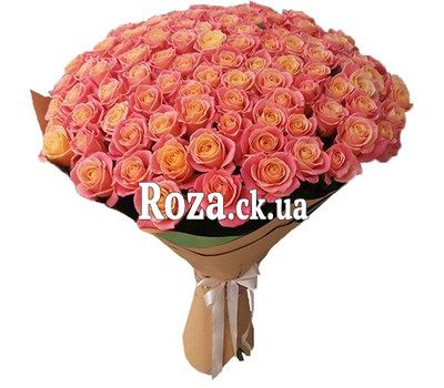 101 rose Miss Piggy