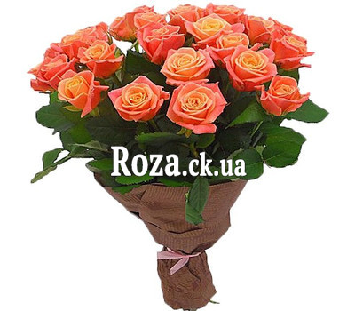 25 peach roses