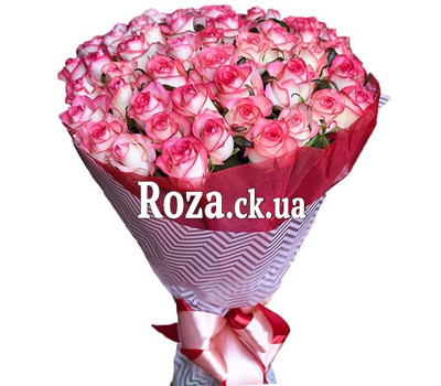 51 roses Jumilia