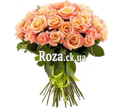 51 roses Miss Piggy
