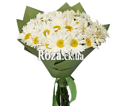 Summer bouquet of chamomiles