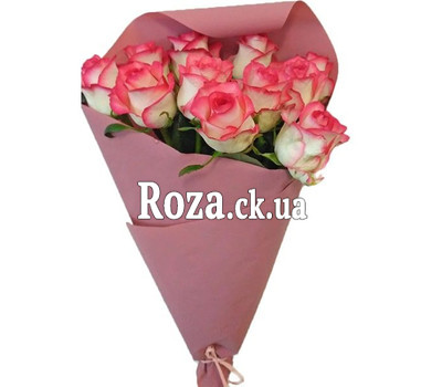 11 roses Jumilia