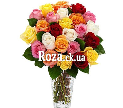 25 multicolored roses
