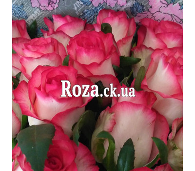 15 original roses 3