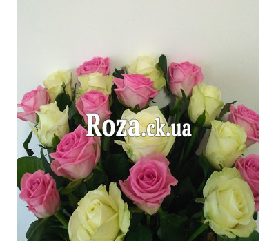 Bouquet of pink and white roses 2