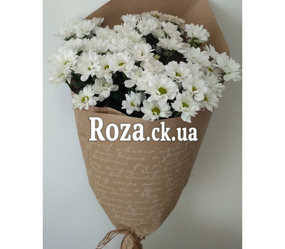 A small bouquet of chrysanthemums 2