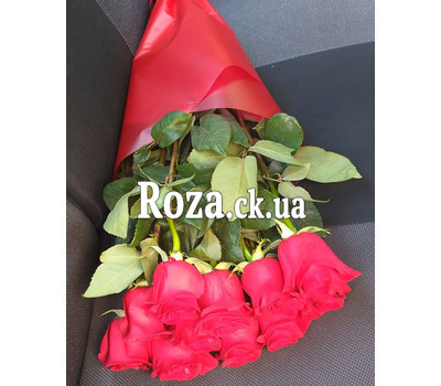 11 meter-high roses 1