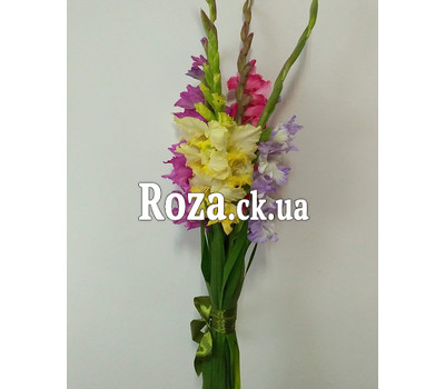 5 gladioluses in a bouquet 1